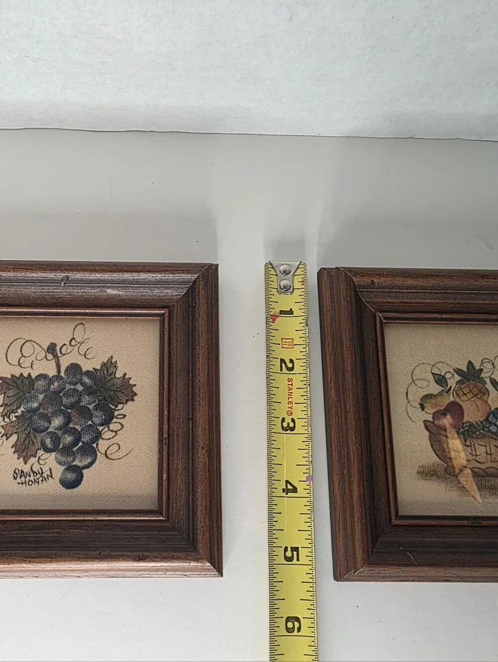 Theorem Painting by Sandy Honan Framed and Matted Prints Grapes & Fruit Set of 2
